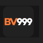 BV999.COM