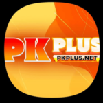 PKPlus Game APK Download – Real Money Earning App
