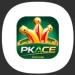 Pkace Game